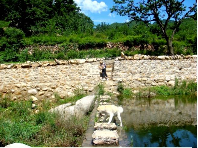 Screen Shot 2020-07-11 at 9.10.05 PM