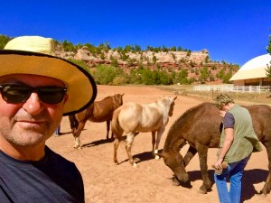 Horse Haven, Best Friends Animal Sanctuary