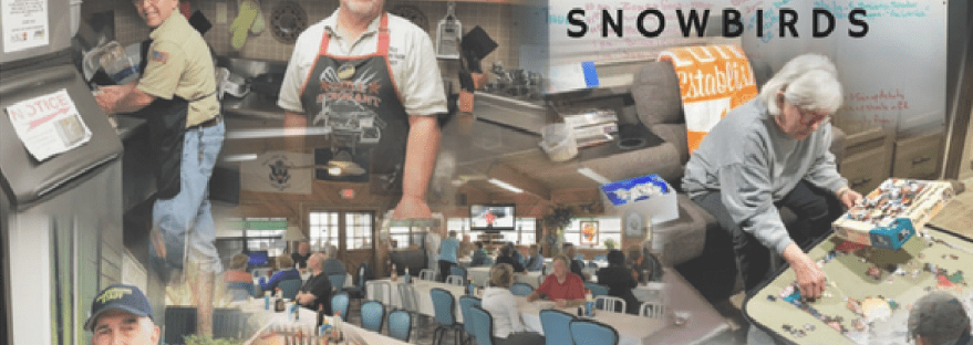 Snowbirds