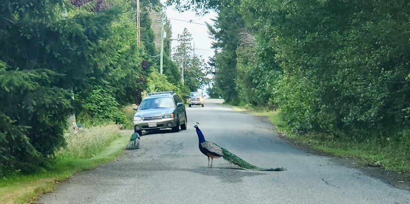 All Photos - 1 of 1 (3)