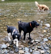 Imports - 1 of 1 (1)