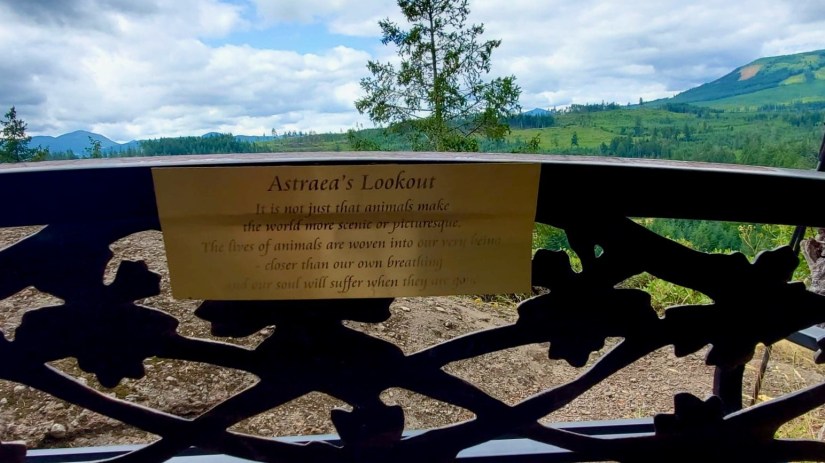 Imports - 1 of 1 (1)