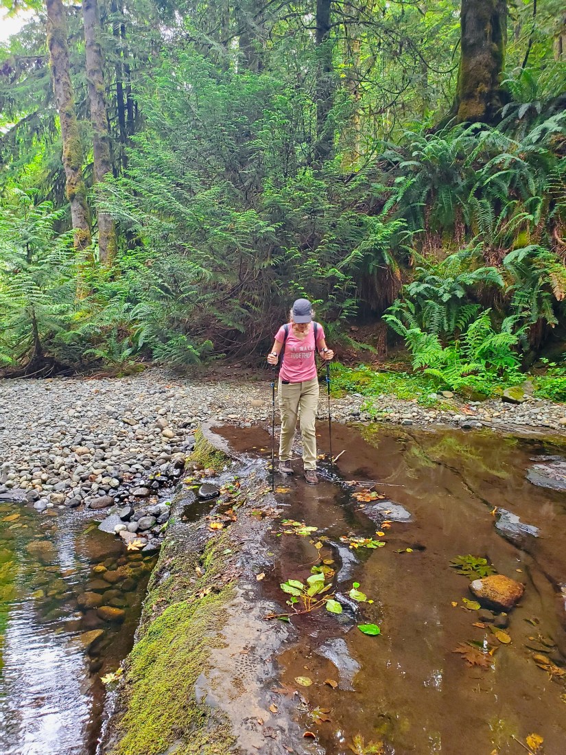 Imports - 1 of 1 (1)