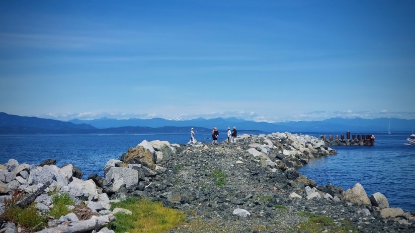 Imports - 1 of 1 (1)