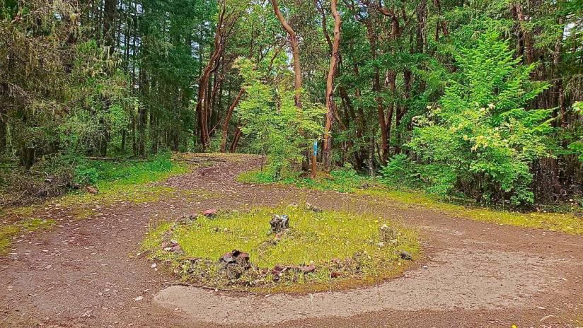 Imports - 1 of 1 (2)