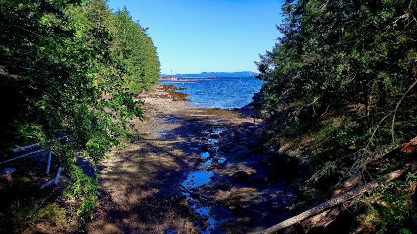 Imports - 1 of 1 (4) 3.26.53 PM