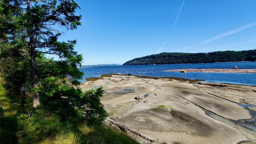 Imports - 1 of 1 (5) 3.26.53 PM