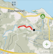 Screen Shot 2020-07-02 at 3.50.07 PM