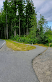 Screen Shot 2020-07-02 at 5.01.49 PM